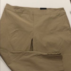 Roz and Ali classic fit ankle pants